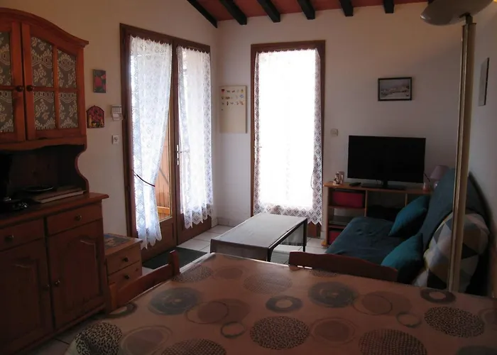 3 Pièces Climatisée Avec Jardin, Proche Plage, Piscine, Parking, Et Animaux Autorisés - Cyprien - Fr-1-106-32 Villa