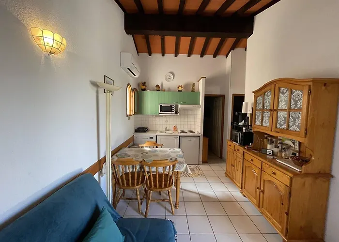 3 Pièces Climatisée Avec Jardin, Proche Plage, Piscine, Parking, Et Animaux Autorisés - Cyprien - Fr-1-106-32 * Saint-Cyprien (Pyrenees-Orientales)