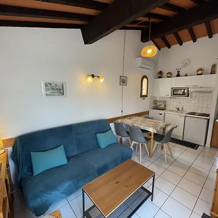 3 Pieces Climatisee Avec Jardin, Proche Plage, Piscine, Parking, Et Animaux Autorises - Cyprien - Fr-1-106-32 Villa Saint-Cyprien