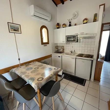 3 Pieces Climatisee Avec Jardin, Proche Plage, Piscine, Parking, Et Animaux Autorises - Cyprien - Fr-1-106-32 Villa *